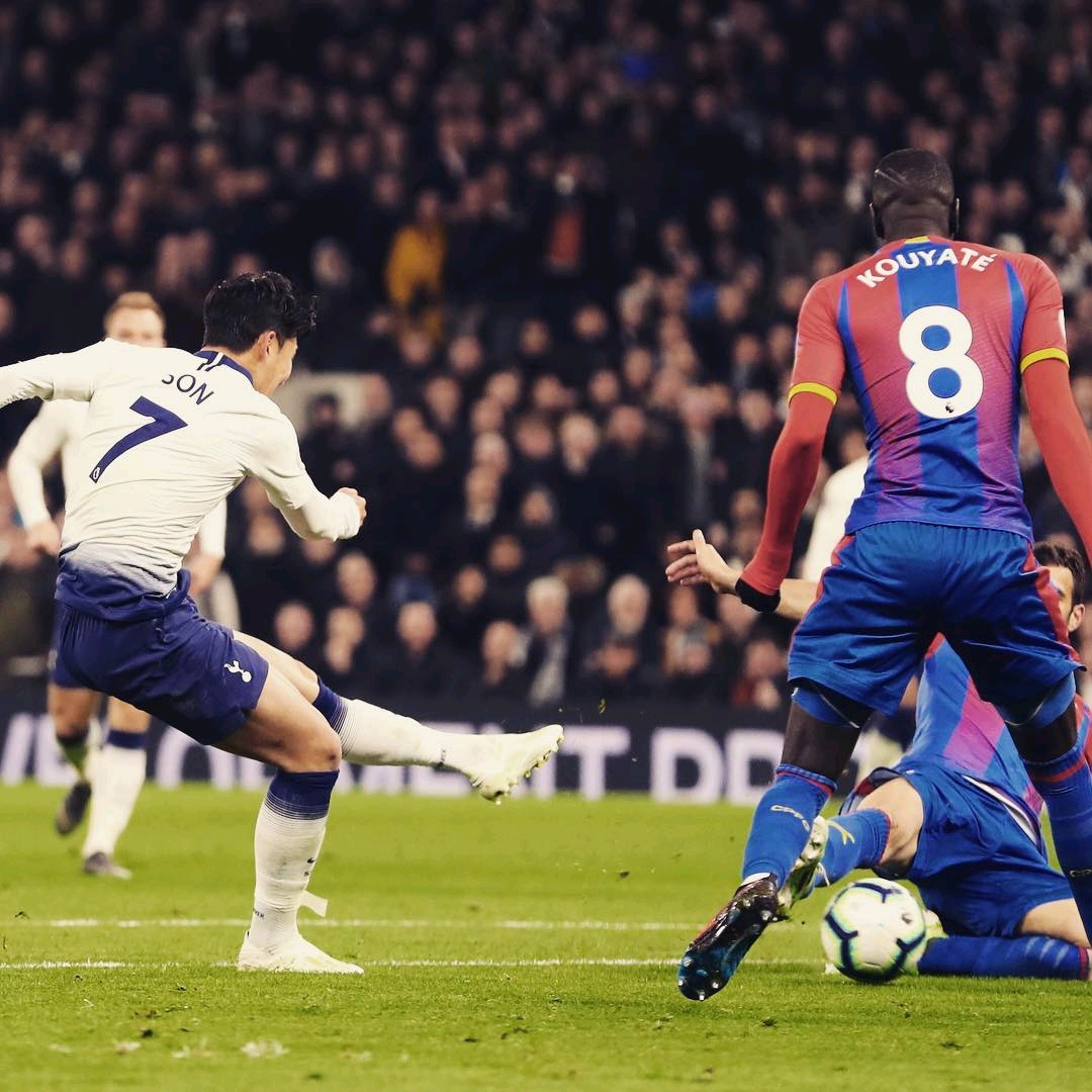 了众多选择 了众多选择