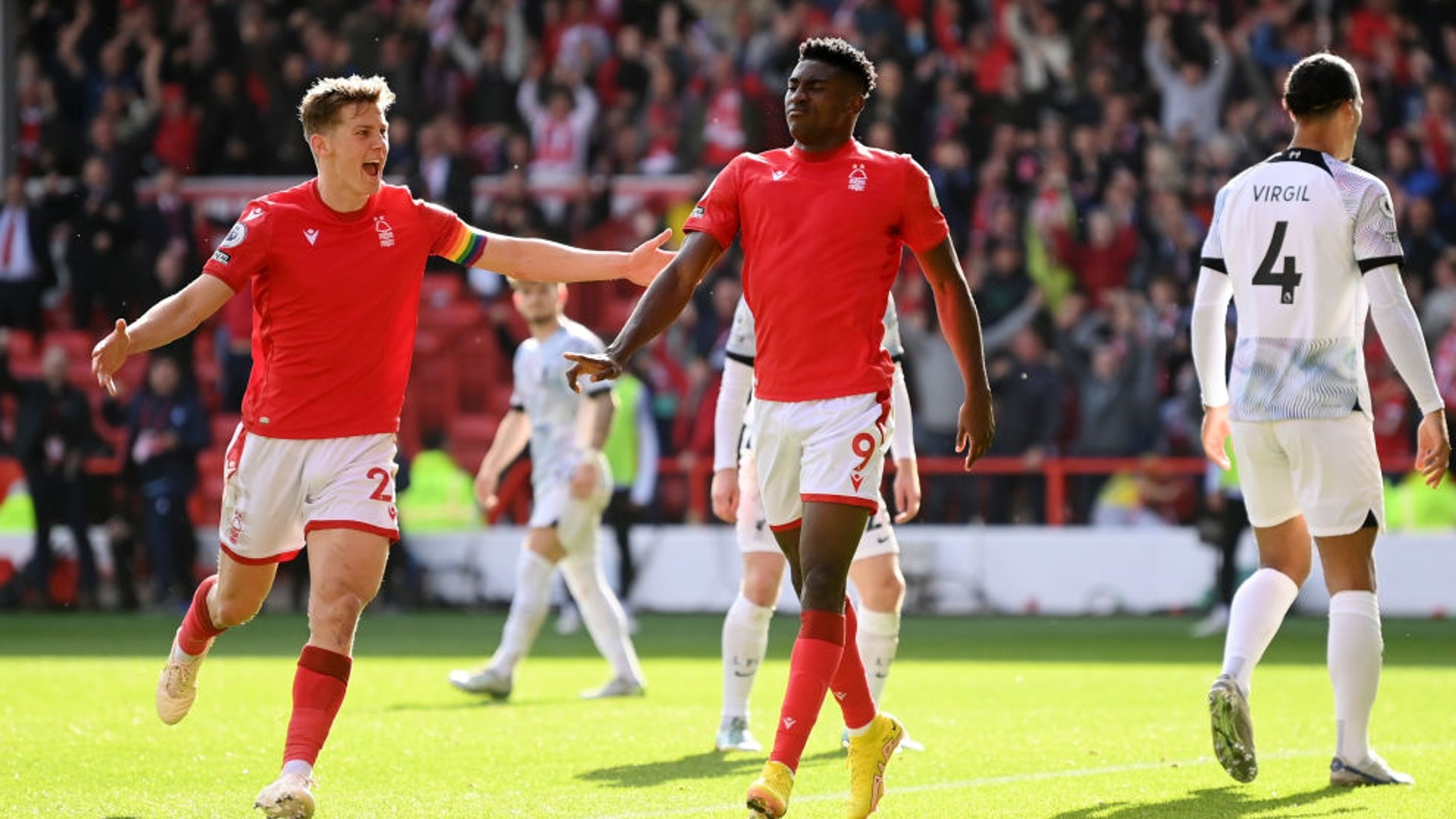 显得格外真 显得格外真